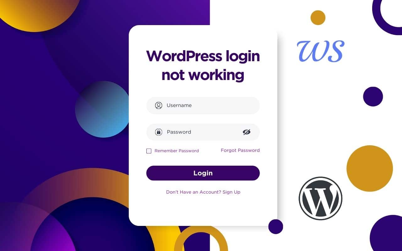 wordpress login not working